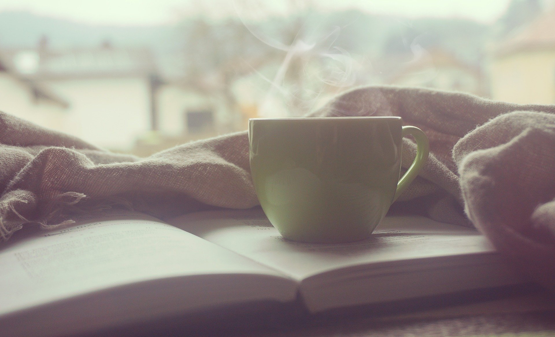 Antiossidante, disintossicante, energizzante: tutte i benefici del caffè  verde – blog Solonatura